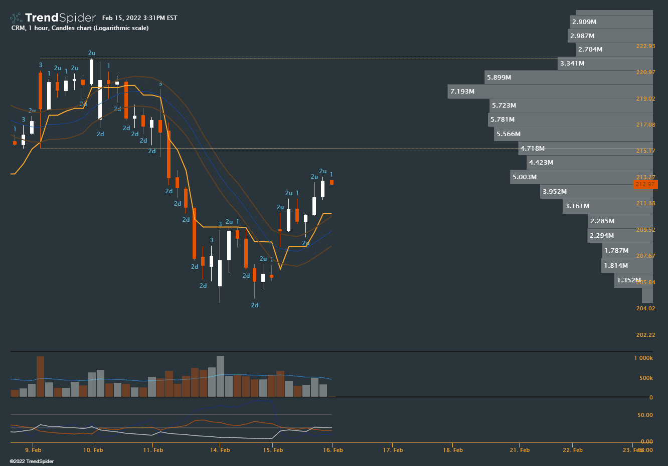 CRM,1 hour Candlestick chart published by Master Chart on TrendSpider